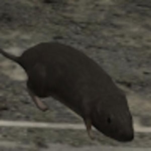 Meet your Posher, Alexandro